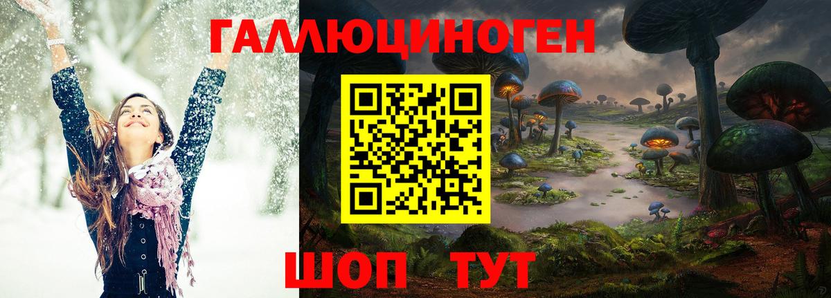 Псилоцибиновые грибы GOLDEN TEACHER  Вход с VPN  Воткинск 